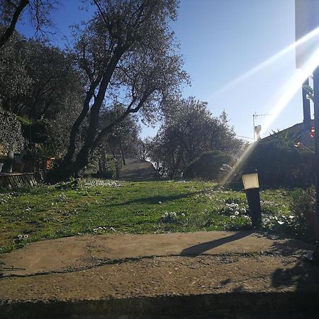 Ca Di Toni Bed & Breakfast Testana Dış mekan fotoğraf