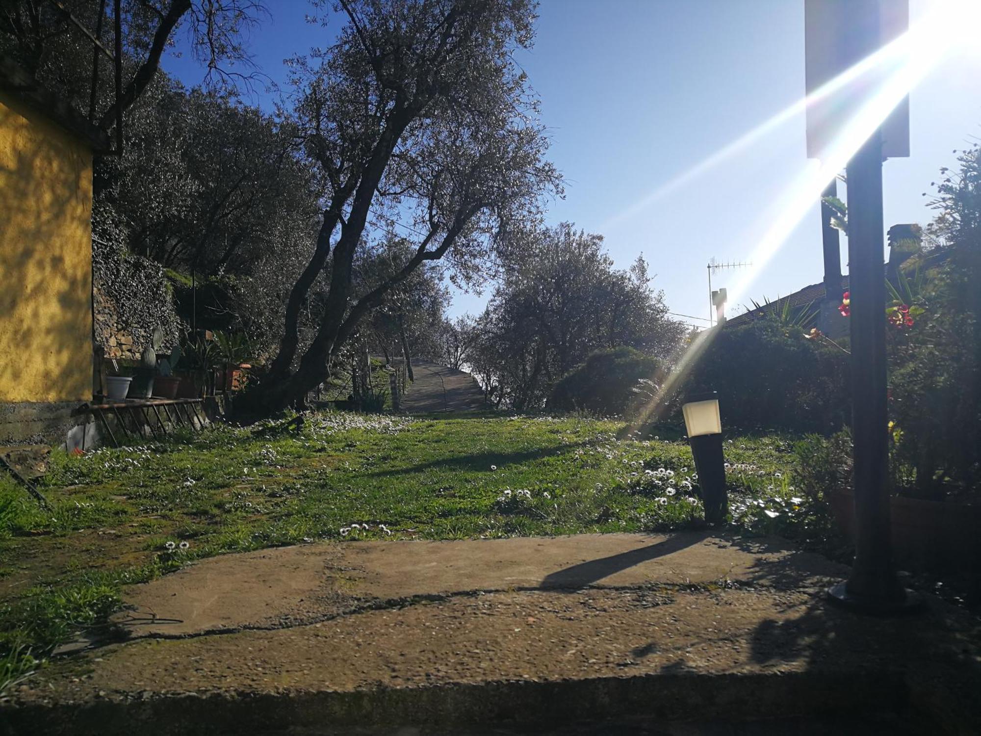 Ca Di Toni Bed & Breakfast Testana Dış mekan fotoğraf